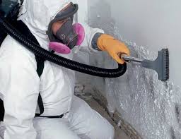 Why You Should Choose Our Mold Remediation Services in Fruit Cove, FL